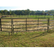 Horse Stall with Low Price